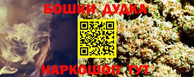сатива Пенза