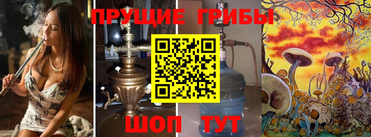 Семёнов  Галлюциногенные грибы прущие грибы  Вход с VPN 